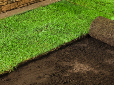 1-1-qjz3qjr5jwzfdl7mwjepxsrflmpvque2zahztbzczs