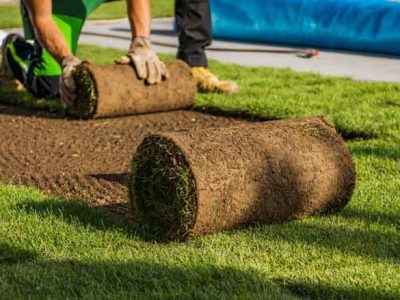 Installing-Sod-Turf
