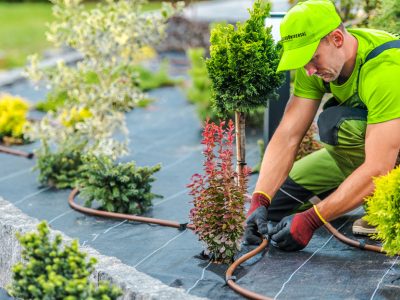 Landscaping-Services_Landscaper_0