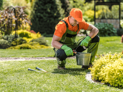 Tips-For-Winter-Gardening-and-Garden-Maintenance