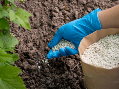 Tree-Shrub-Fertilization-1000-x-700-px