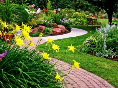 landscape-contractors