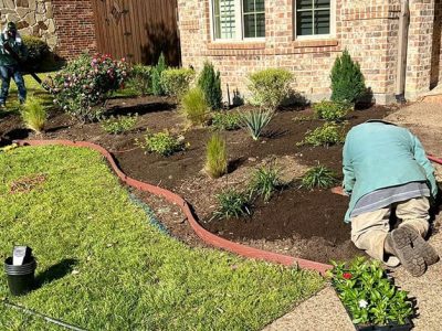 landscape-installation-service