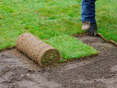man-laying-grass-green-rolls-for-new-garden-lawn_t20_e9wG9L