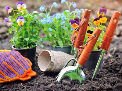 shutterstock_627274796Optimized