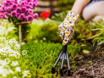 spring_garden_blog_850x500_e913635d-24f2-4471-a36a-7c0a4cf5c853_2048x